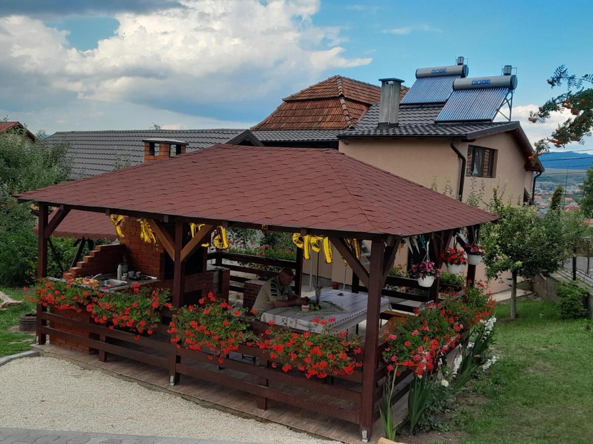 Casa Alex Hotel Topliţa Exterior foto